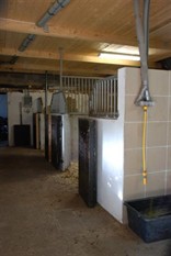 stall
